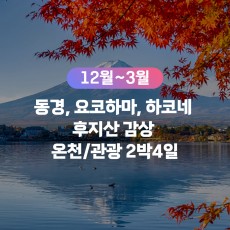 [무안출발7G] 동경, 요코하마, 하코네 ♥후지산 감상♥ 관광패키지 2박4일